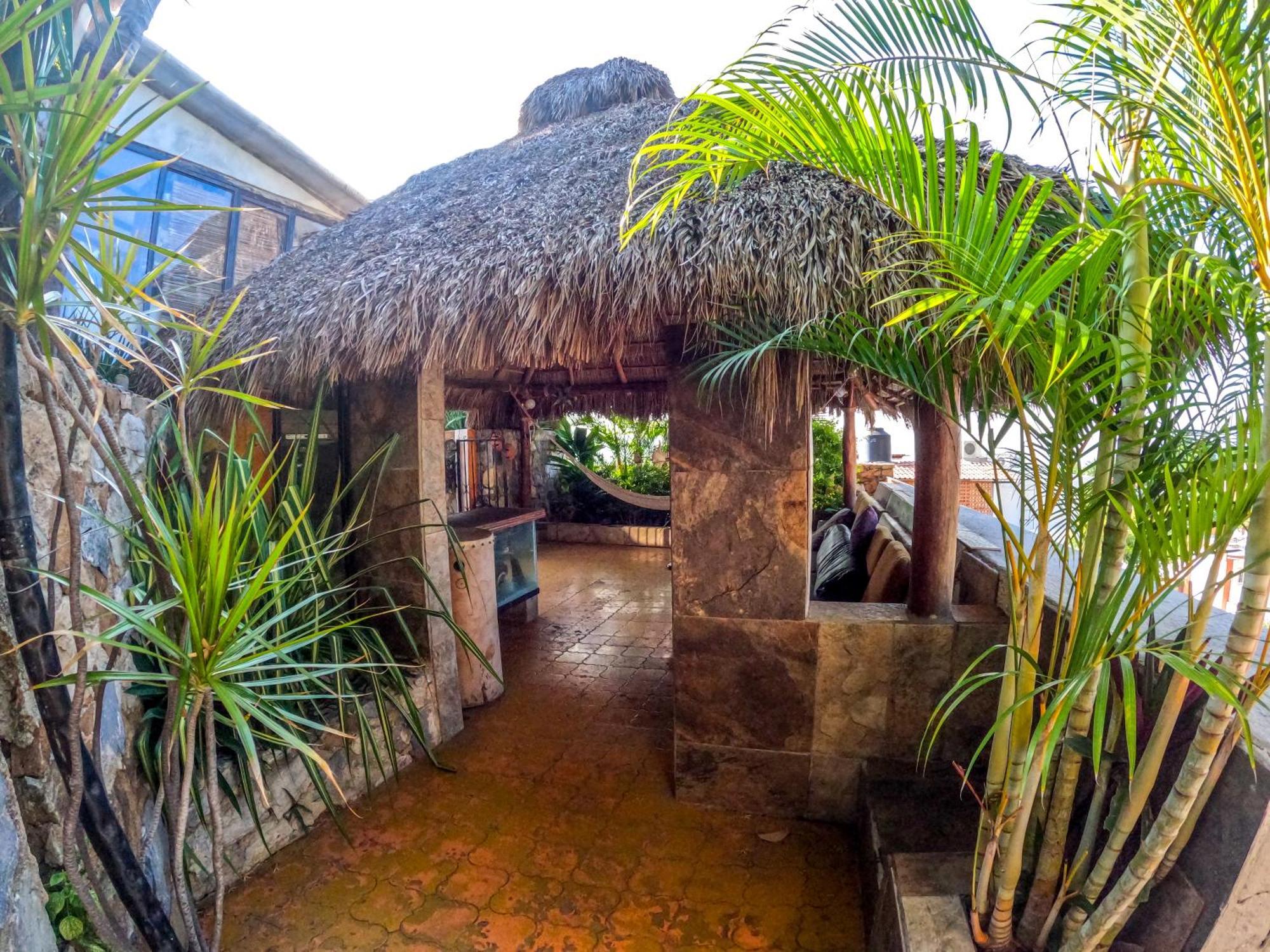 Casa Artista Bed & Breakfast Manzanillo Exterior photo